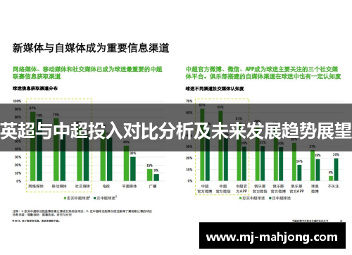 英超与中超投入对比分析及未来发展趋势展望