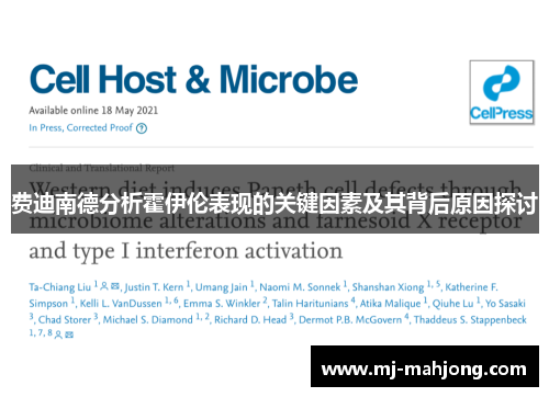 费迪南德分析霍伊伦表现的关键因素及其背后原因探讨